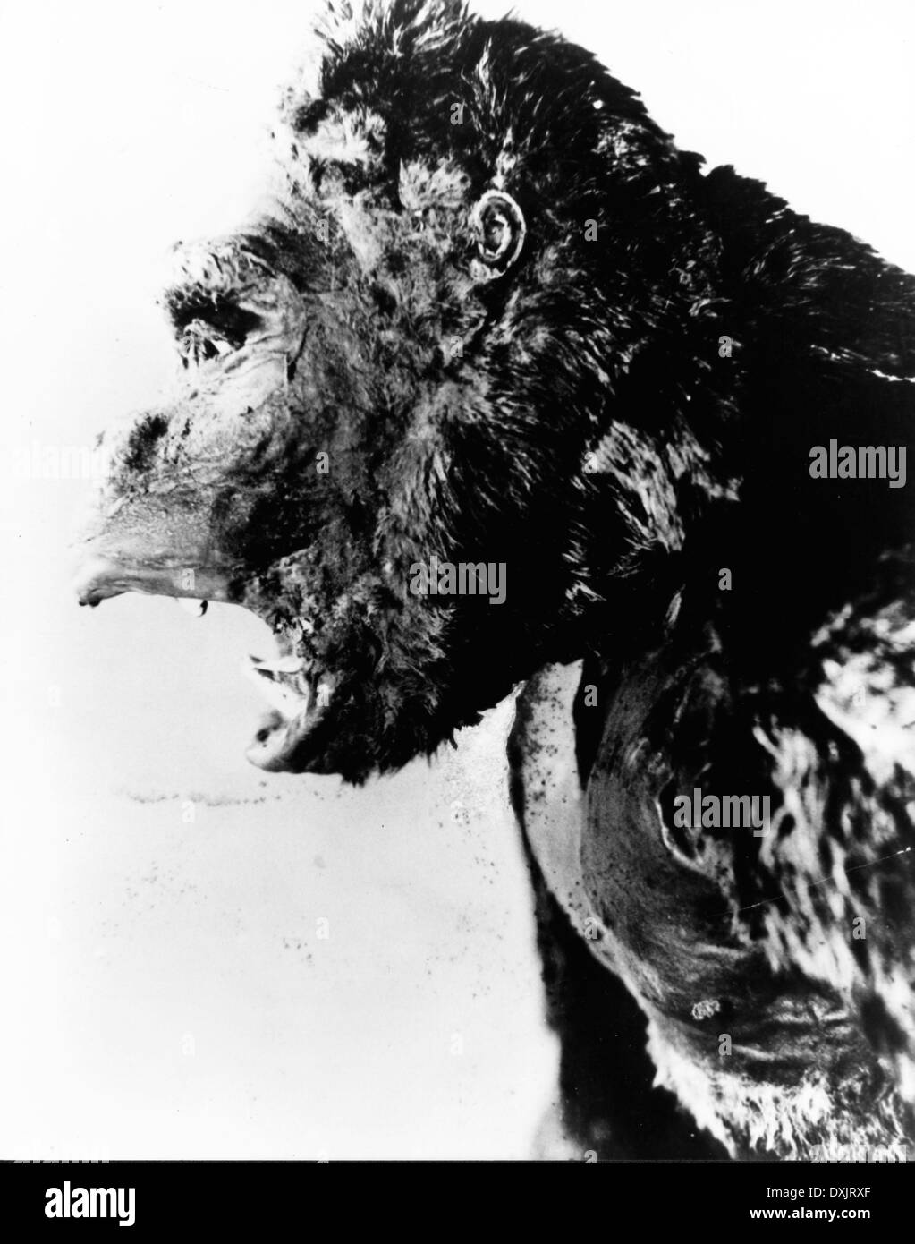 1933 king kong Black and White Stock Photos & Images Alamy