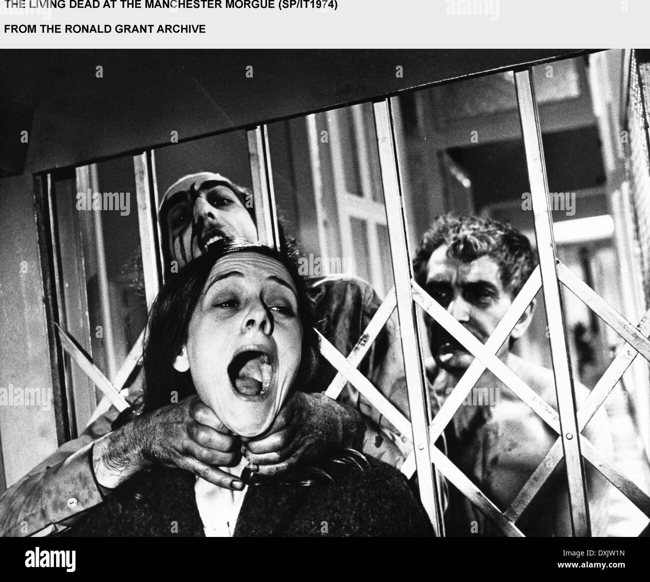 LIVING DEAD AT THE MANCHESTER Stock Photo Alamy