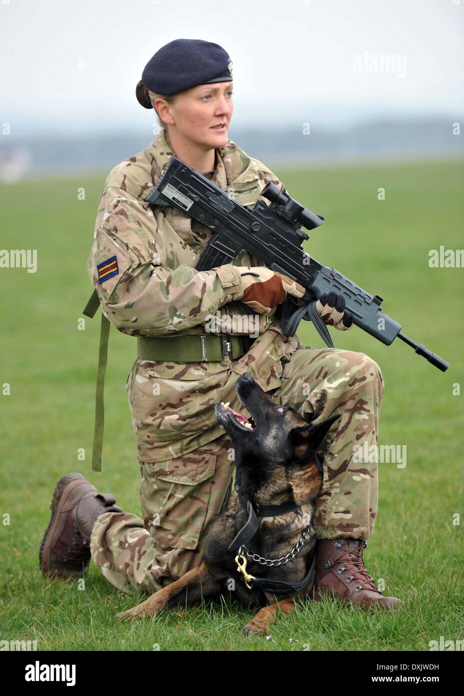 Army dog handler and dog, Cpl Kelly Wolstencroft dog handler with Tran, England, UK Stock Photo