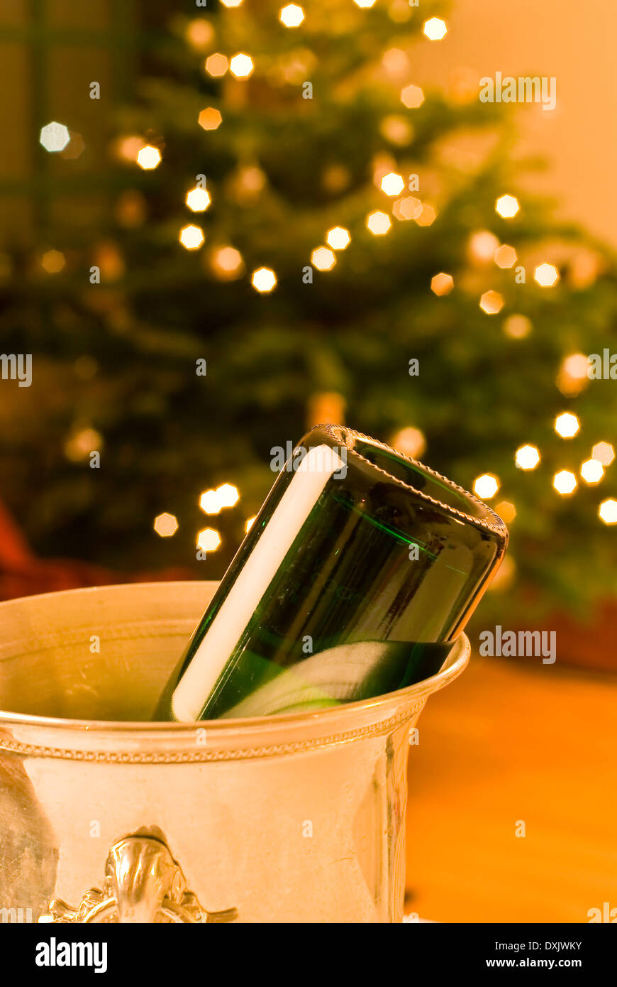 Empty bottle of champagne in cooler with Christmas tree in background Stock Photo