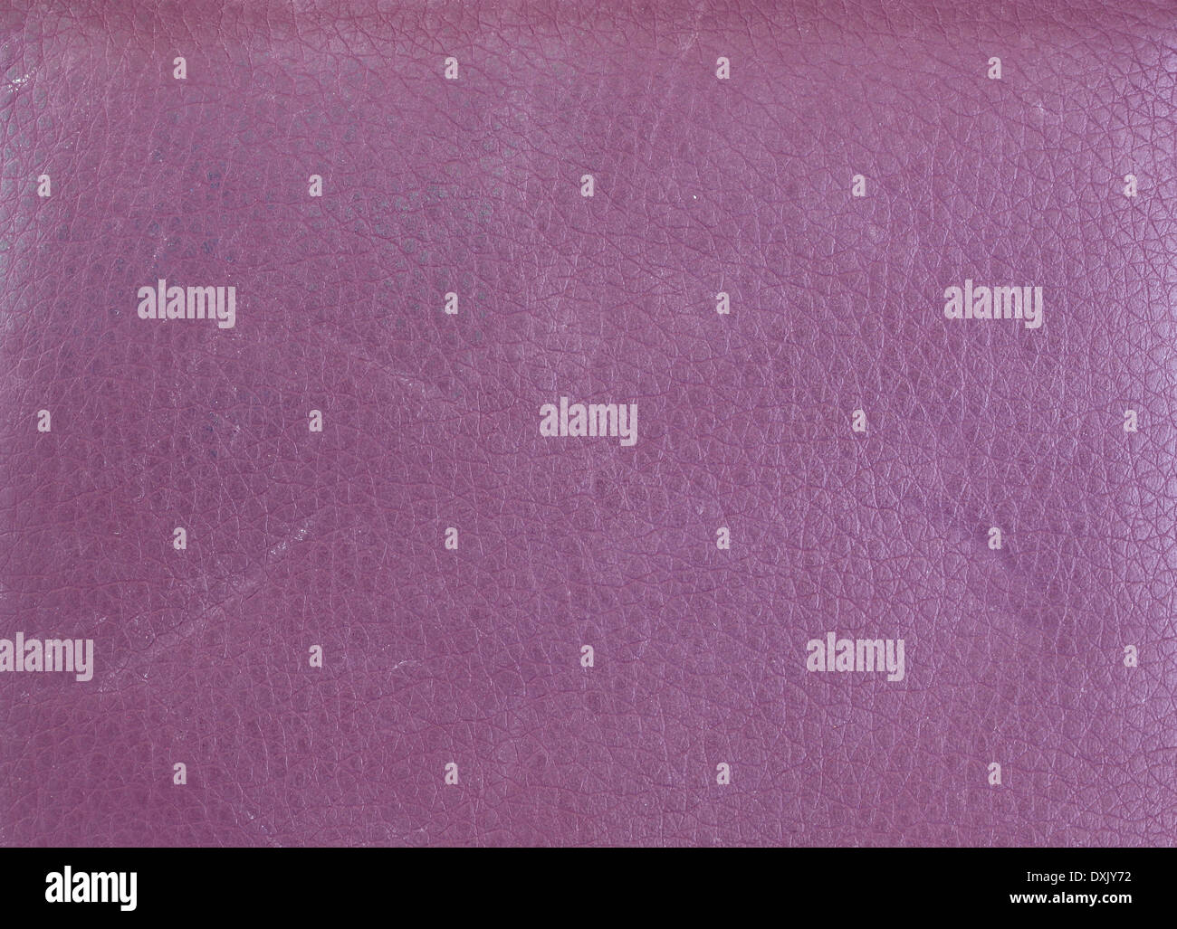 Texture of purple leather wallet for background. Stock Photo