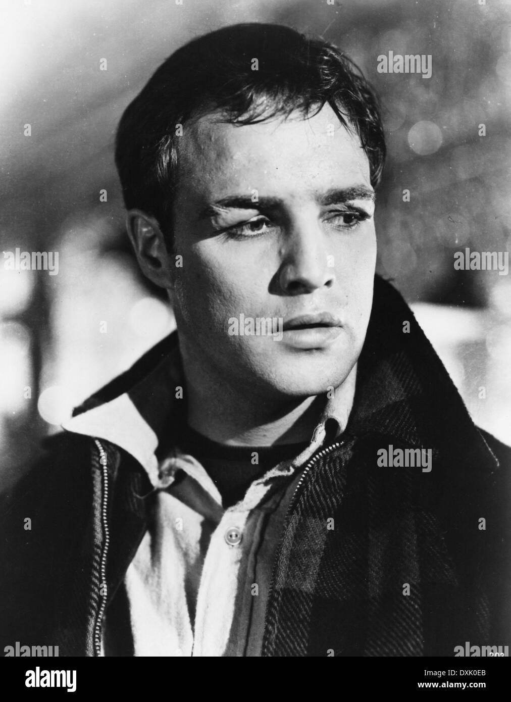 ON THE WATERFRONT (US1954) MARLON BRANDO AS TERRY MALLOY Stock Photo