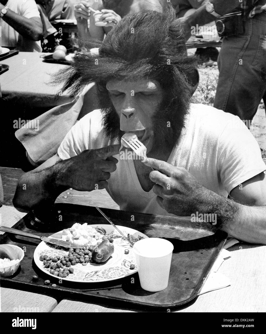 of the apes hires stock photography and images Alamy