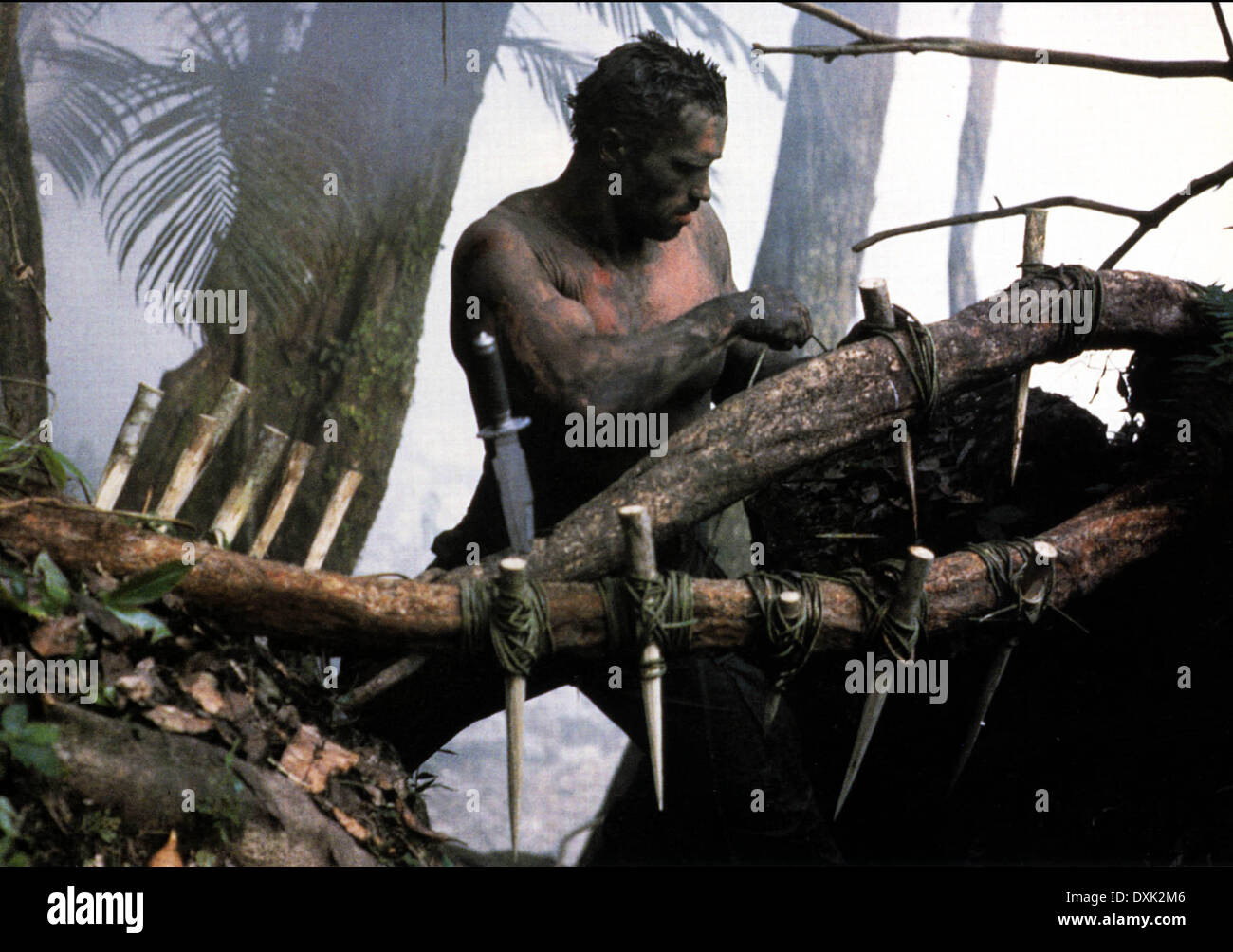 PREDATOR Stock Photo - Alamy