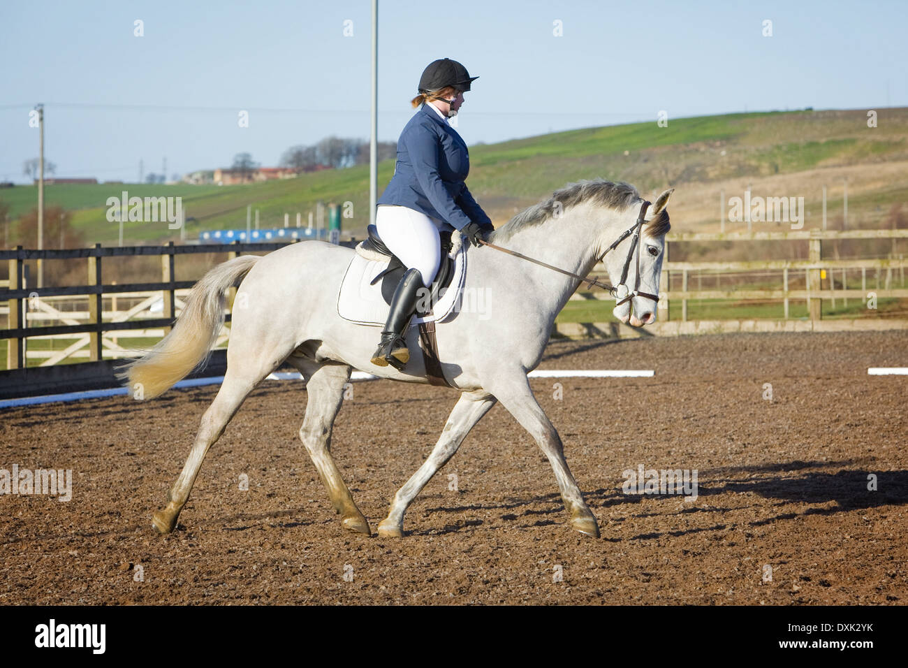 A horse and rider competing in a dressage event held outside on a sand and rubber course in England Stock Photo