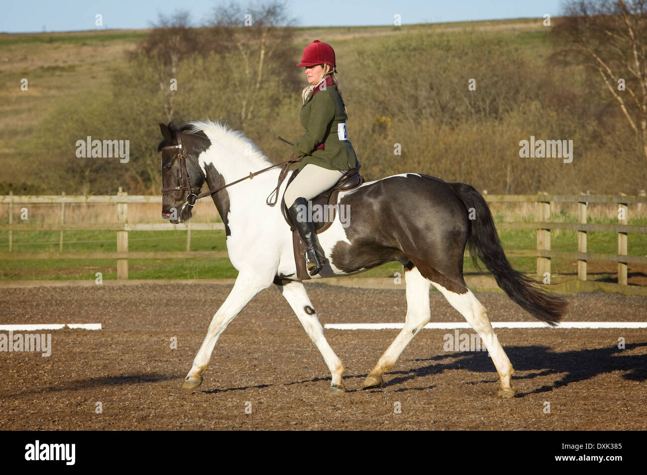 A horse and rider competing in a dressage event held outside on a sand and rubber course in England Stock Photo