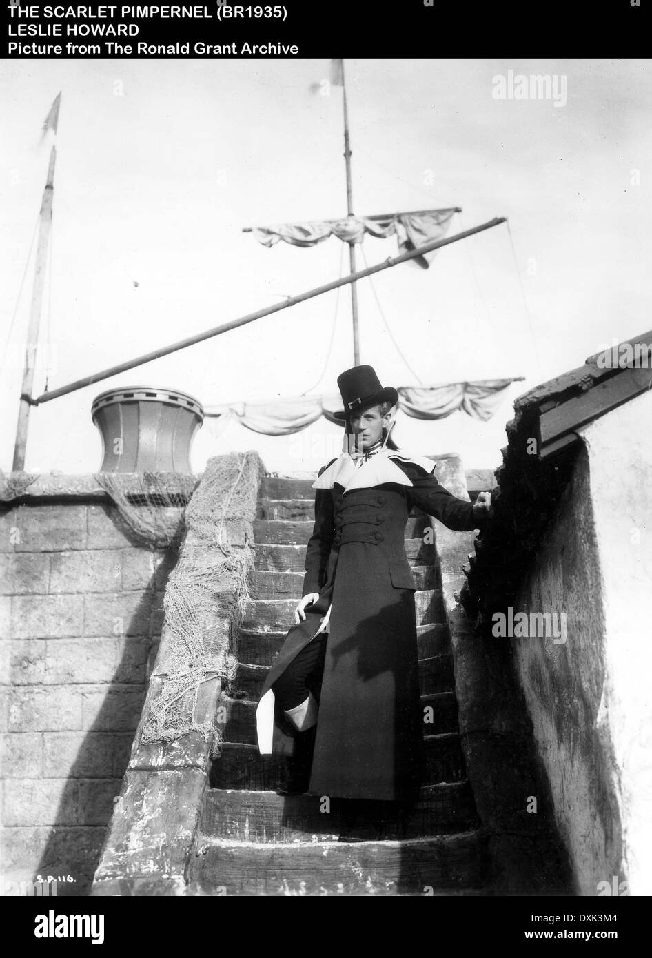 THE SCARLET PIMPERNEL Stock Photo Alamy