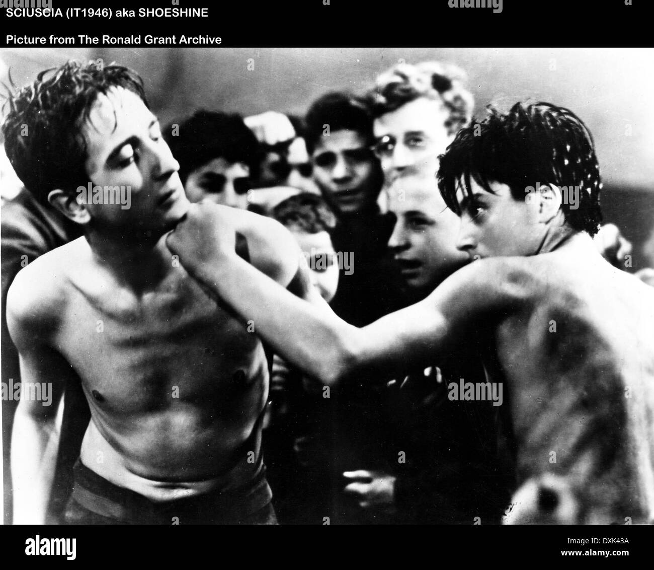 SCIUSCIA Stock Photo Alamy