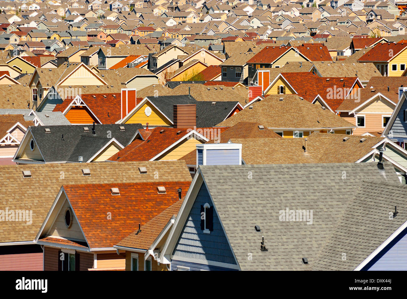 Rooftops in suburban development, Colorado Springs, Colorado, United States Stock Photo