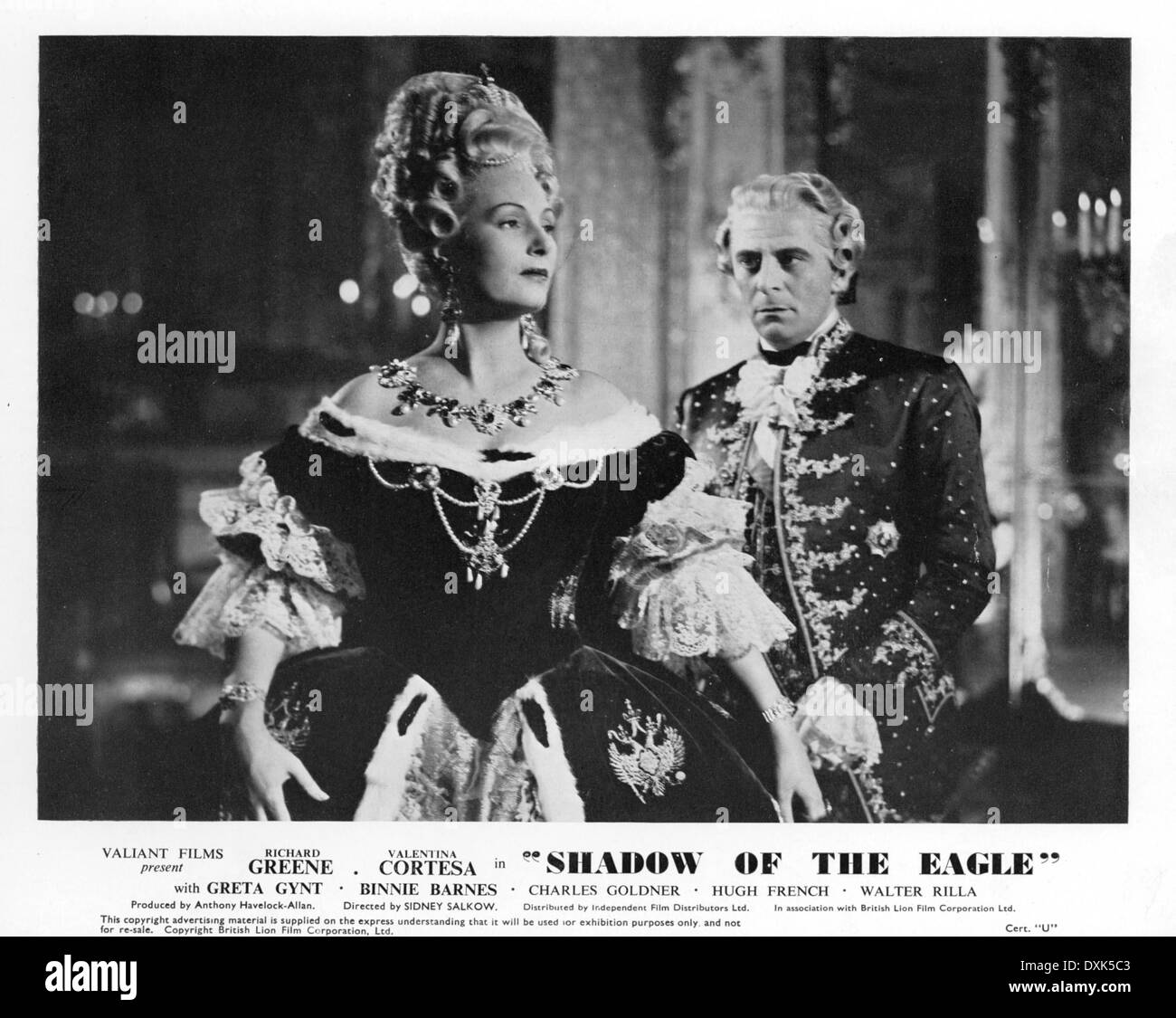 SHADOW OF THE EAGLE Stock Photo Alamy