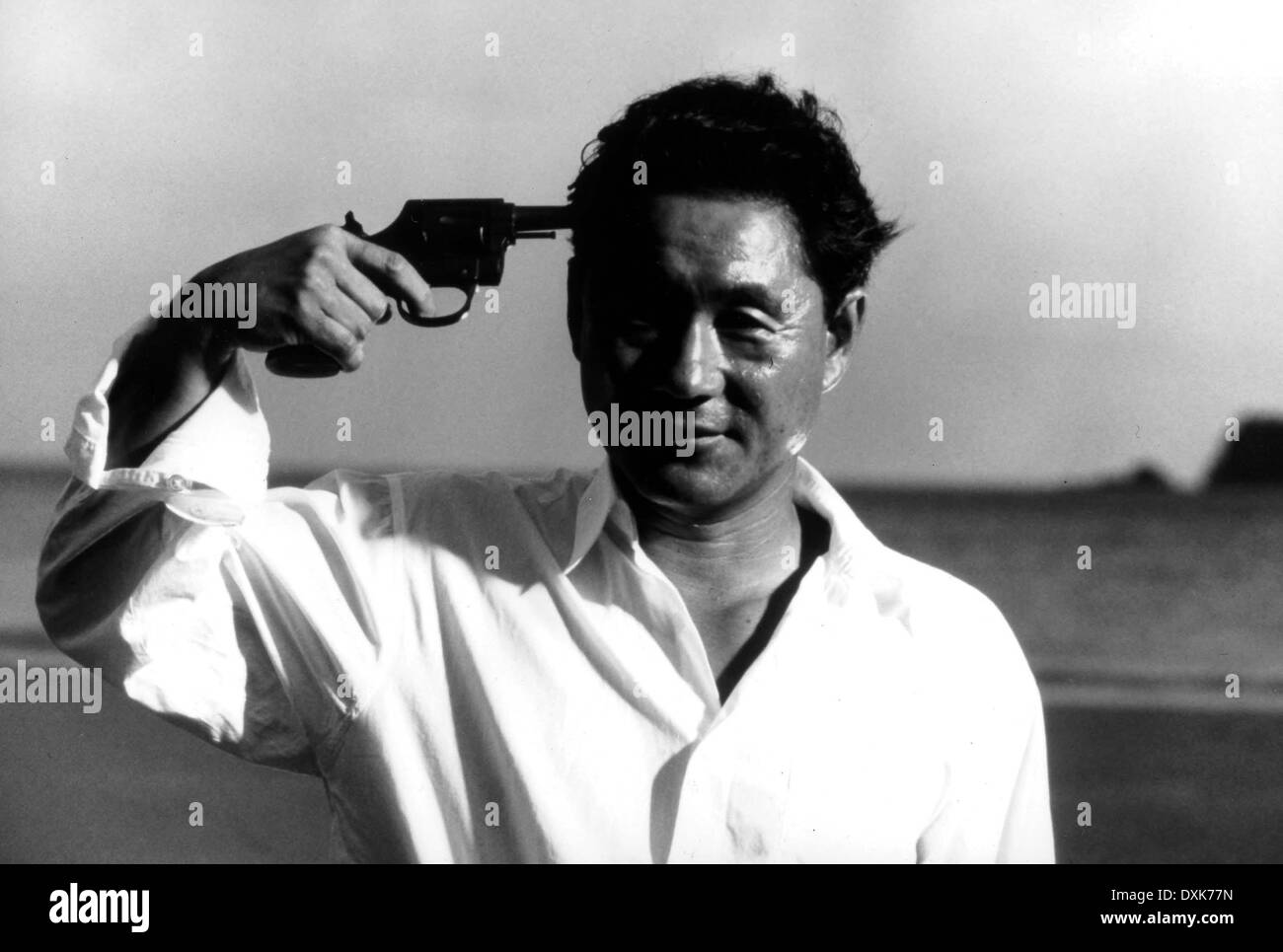 SONATINE Stock Photo