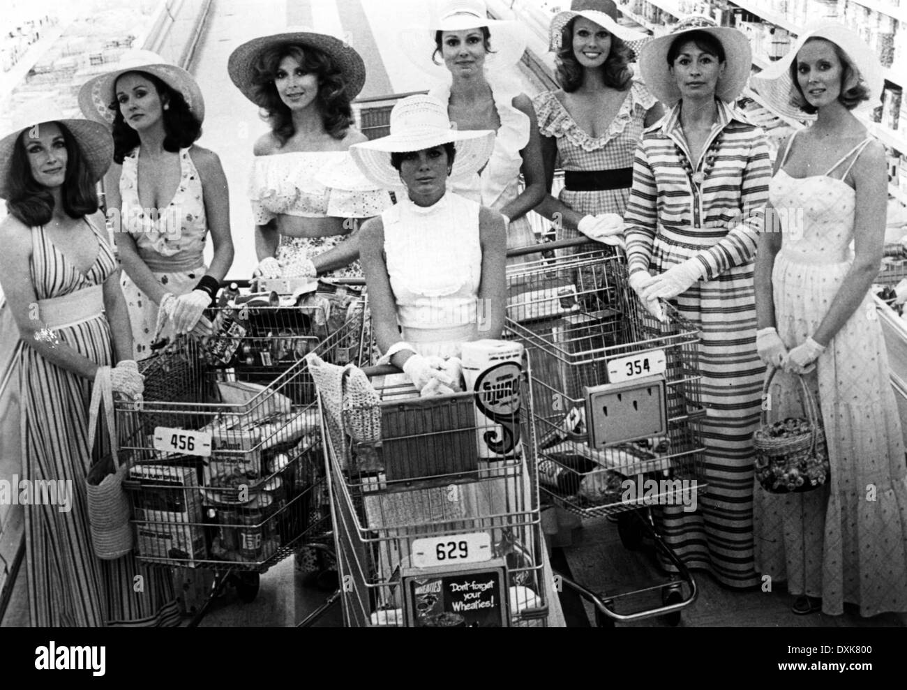 THE STEPFORD WIVES Stock Photo