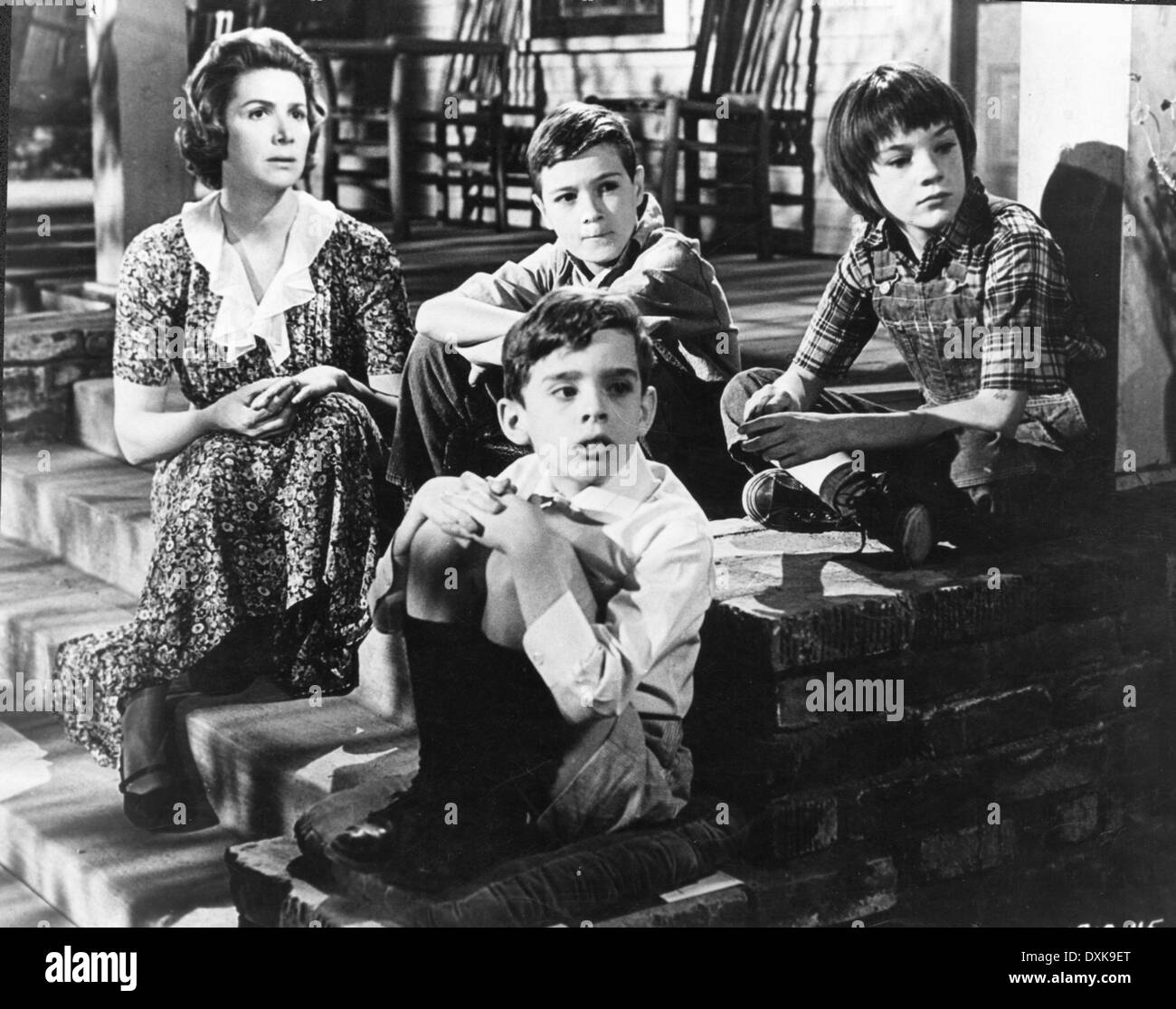 TO KILL A MOCKINGBIRD Stock Photo Alamy