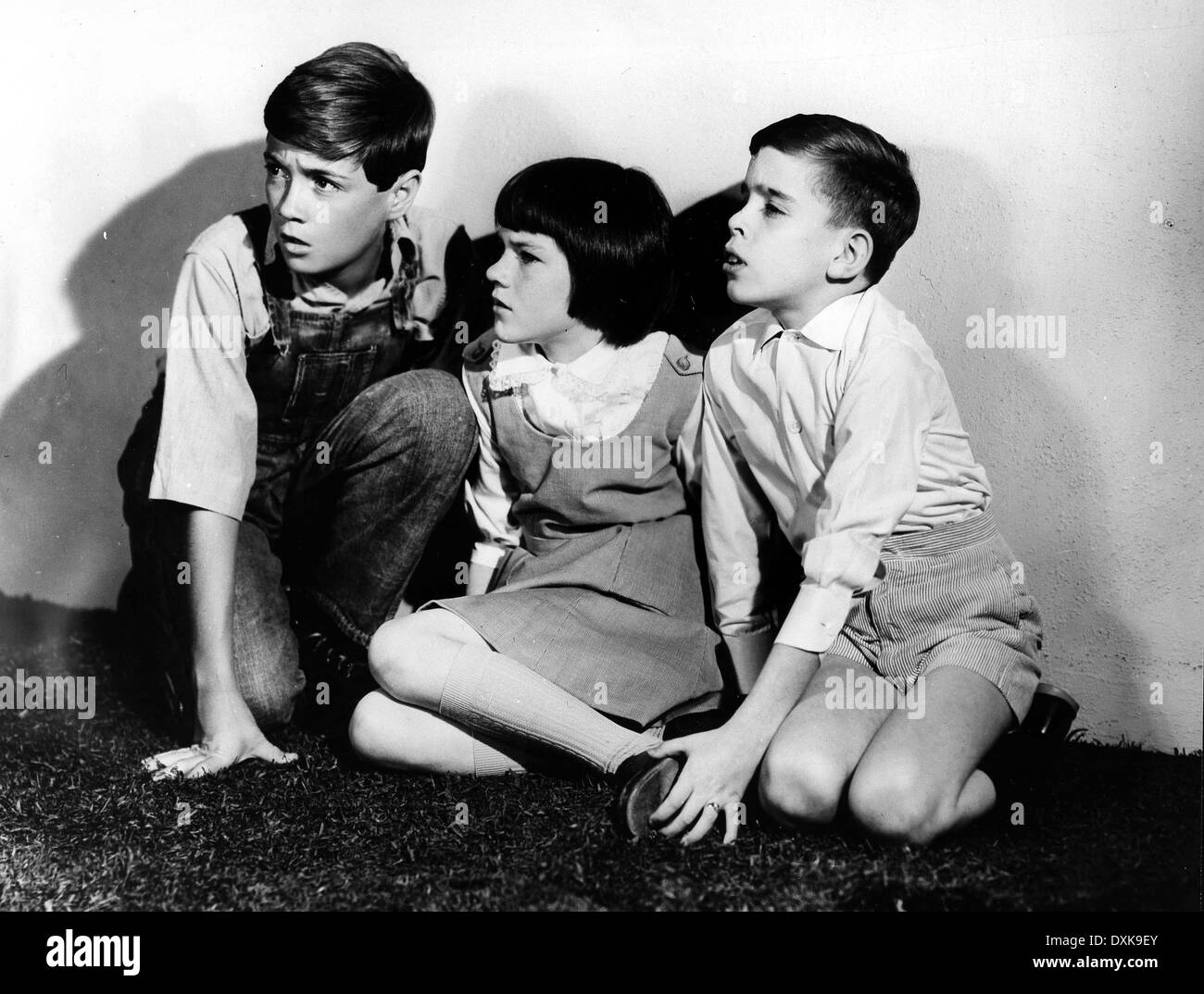 TO KILL A MOCKINGBIRD Stock Photo Alamy