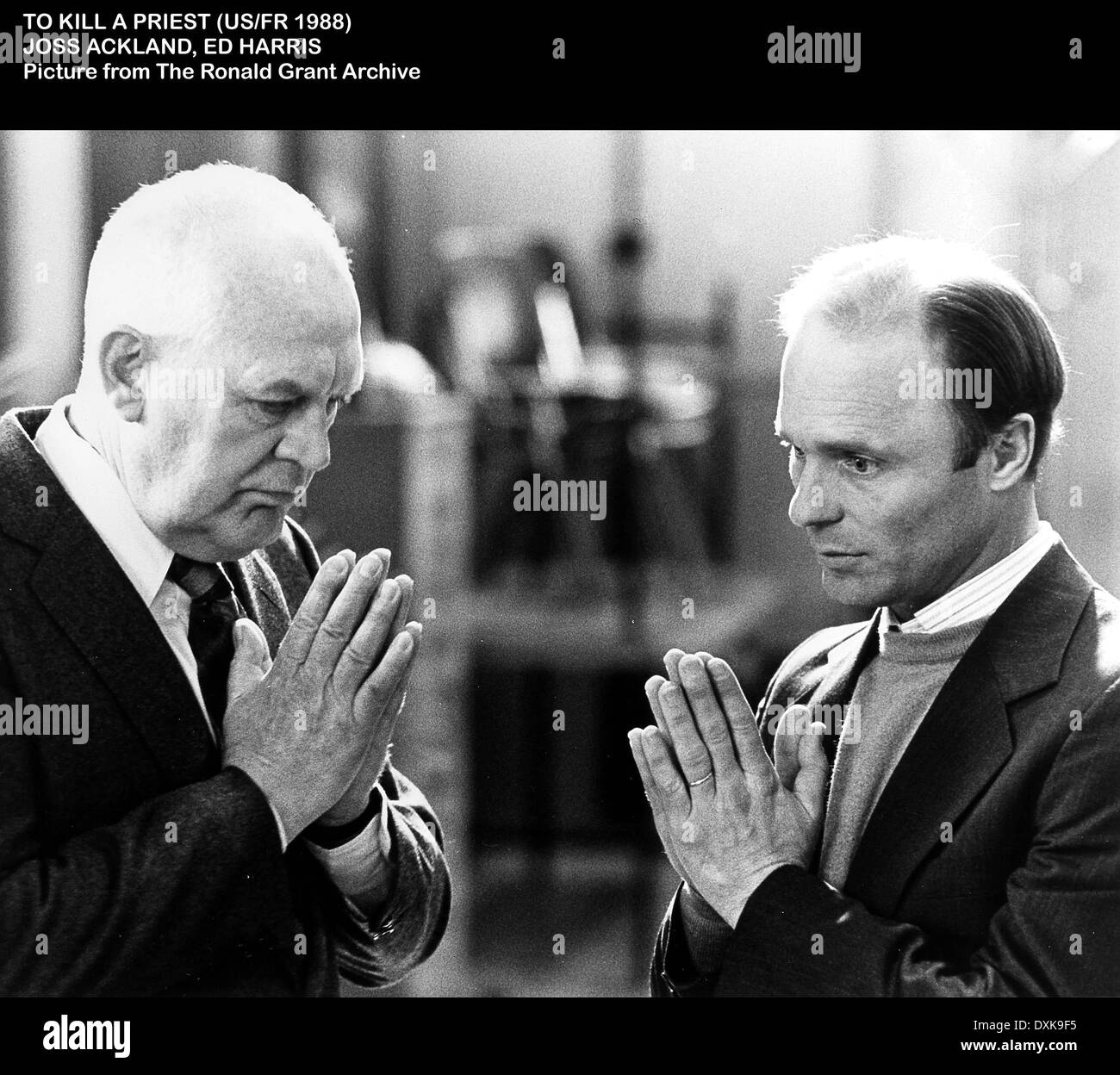 Ackland hires stock photography and images Alamy