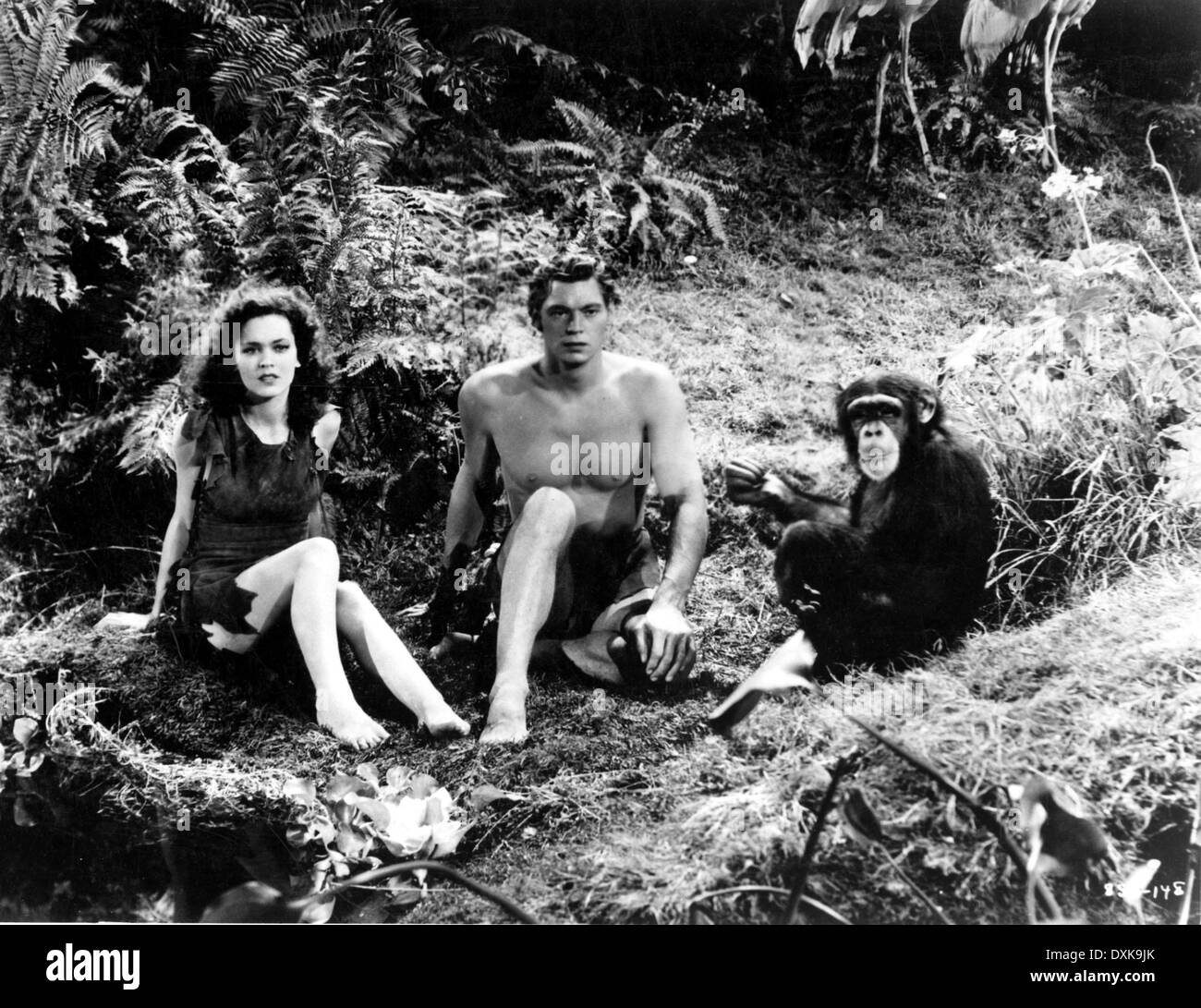 Tarzan escapes Black and White Stock Photos & Images - Alamy