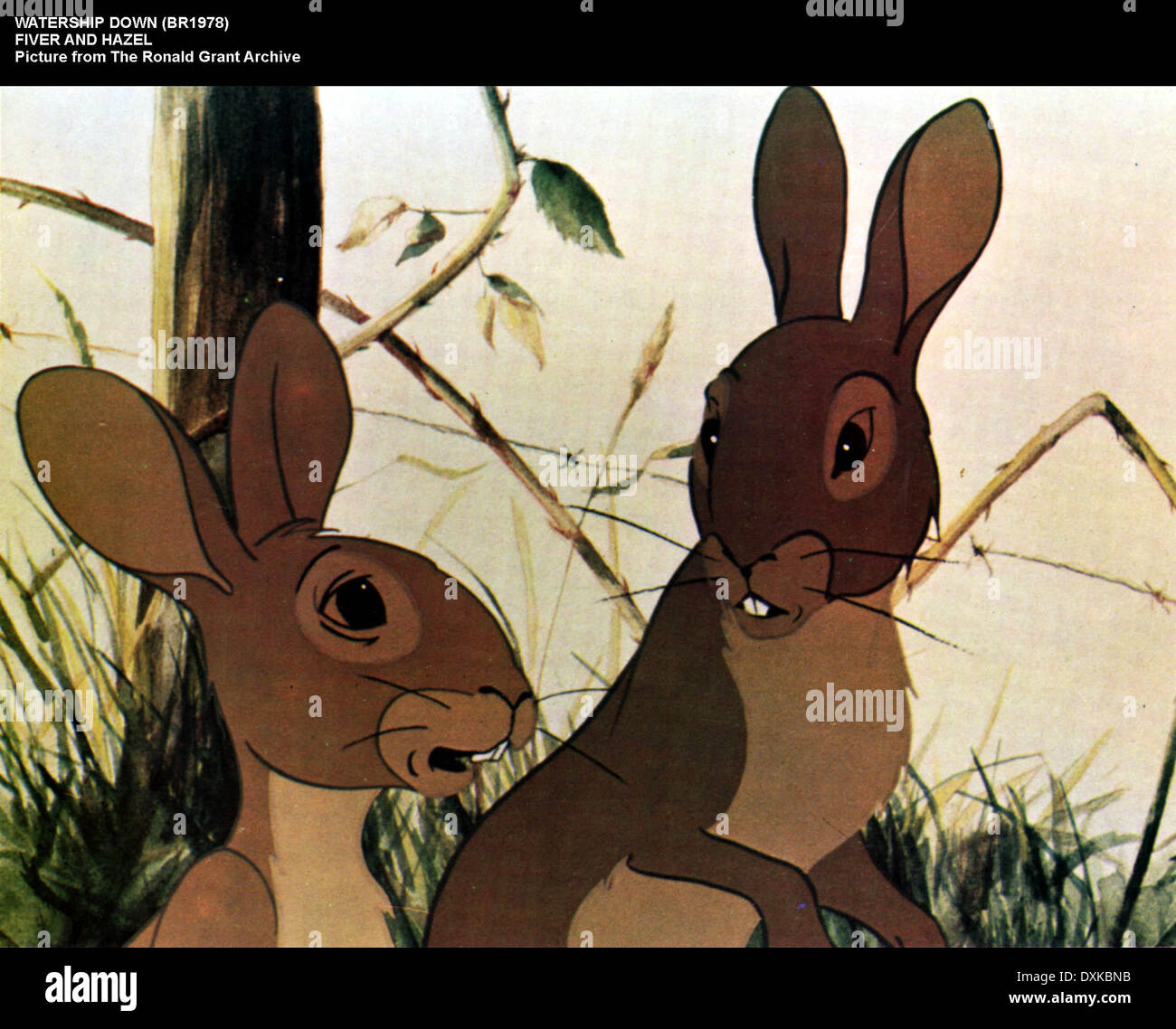 Fiver watership down hi-res stock photography and images - Alamy