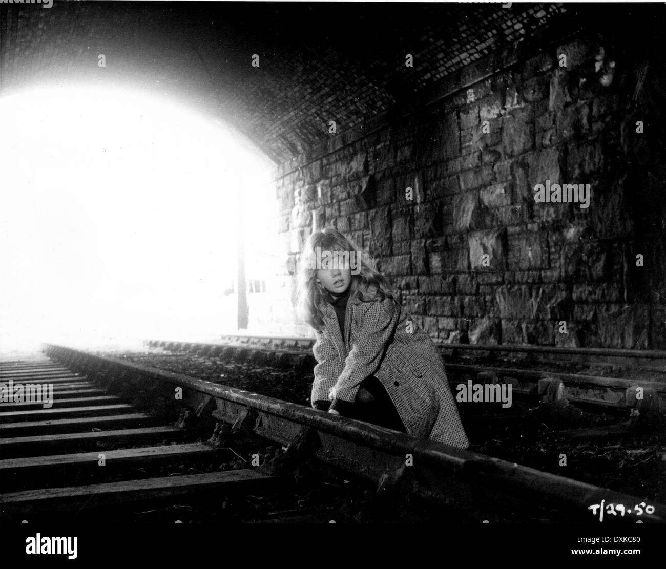 WHISTLE DOWN THE WIND Stock Photo Alamy