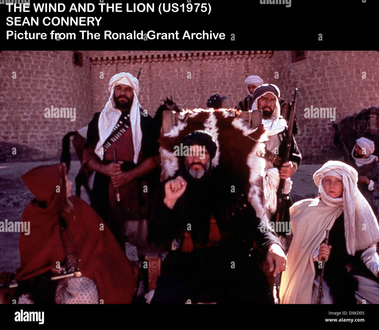 THE WIND AND THE LION Stock Photo Alamy