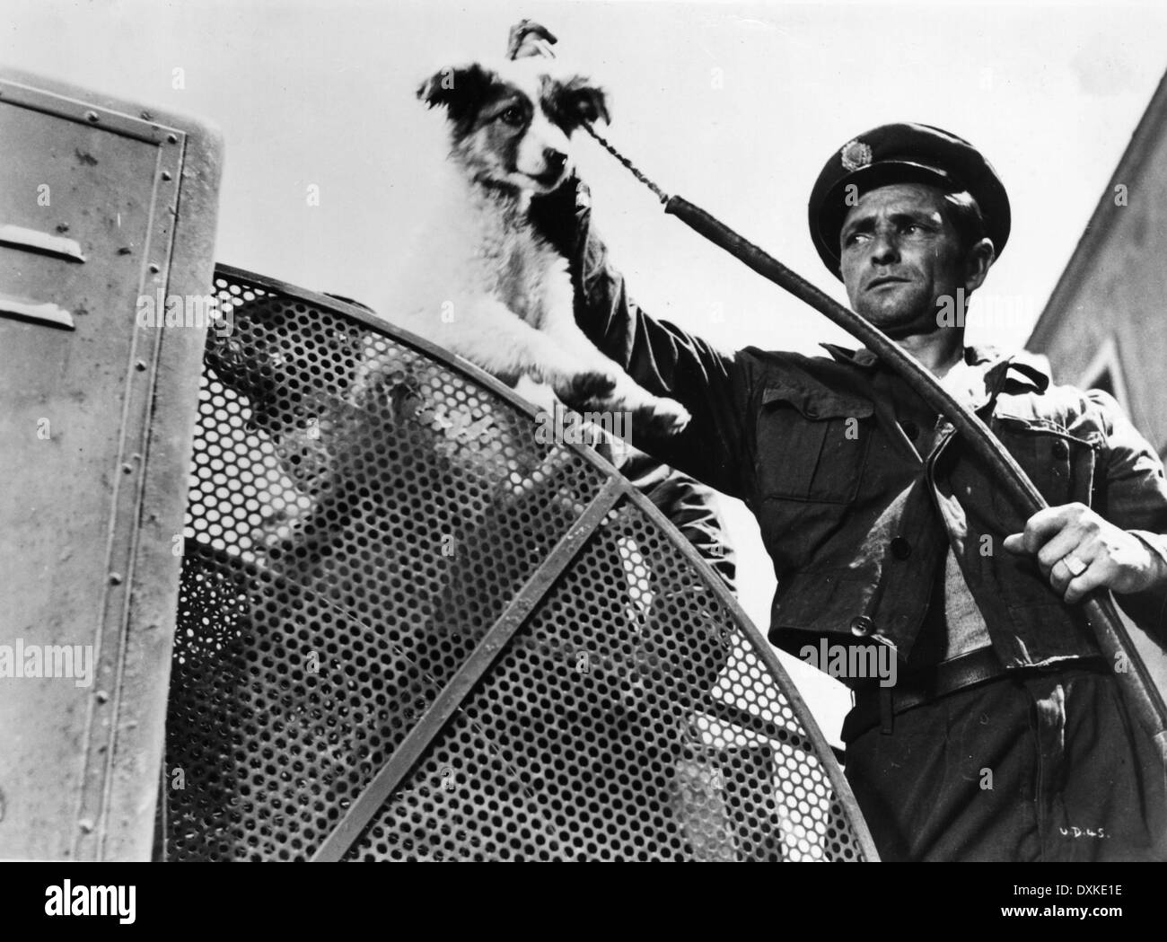 Dog catcher hires stock photography and images Alamy