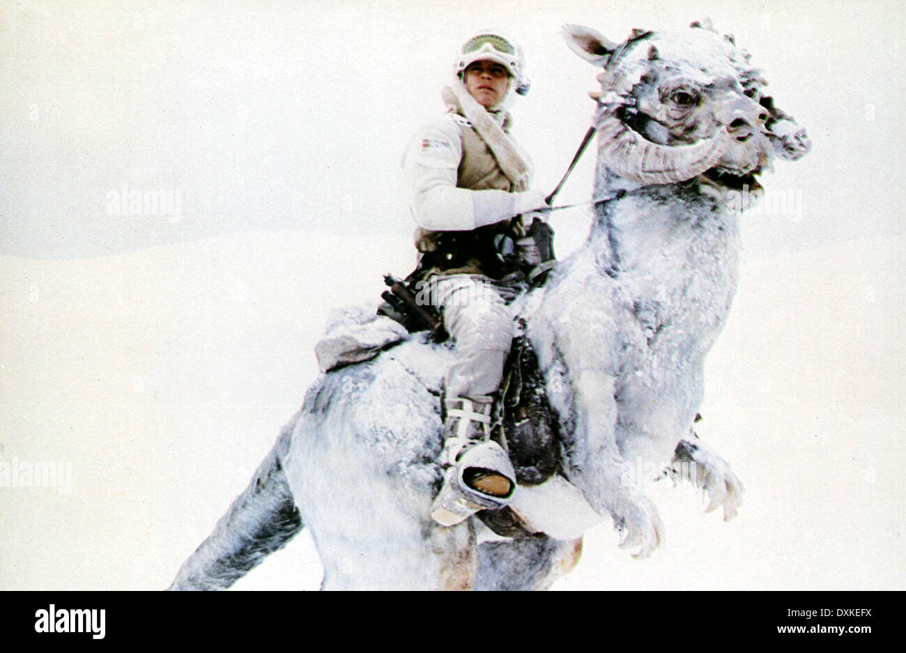 Empire strikes back mark hamill hi-res stock photography and