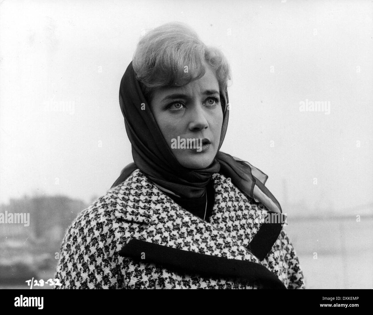 Sylvia Syms (born 1934) picture images Sylvia Syms (born 1934)