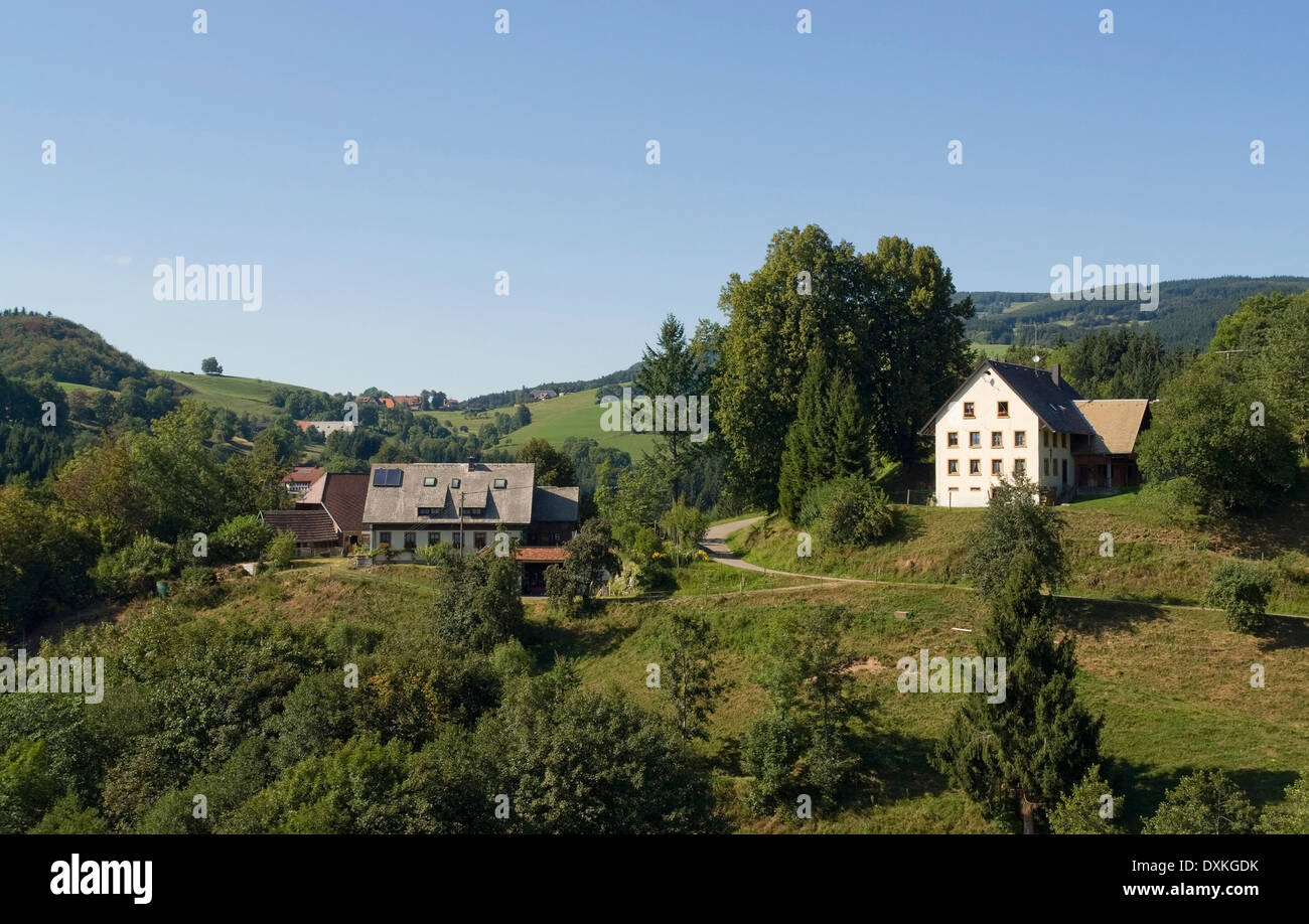 idyllic scenery in the Black Forest at summer time with some houses in peaceful ambiance Stock Photo