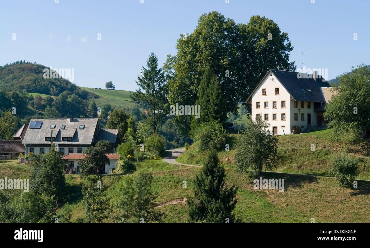 idyllic scenery with two houses in the Black Forest at summer time Stock Photo