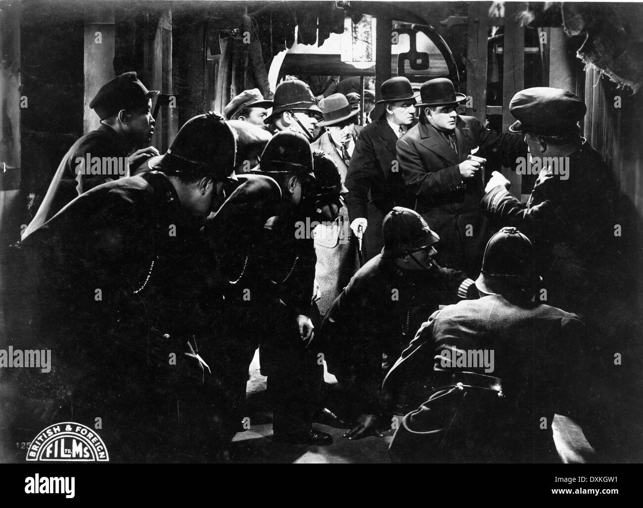 THE ALLEY CAT Stock Photo Alamy