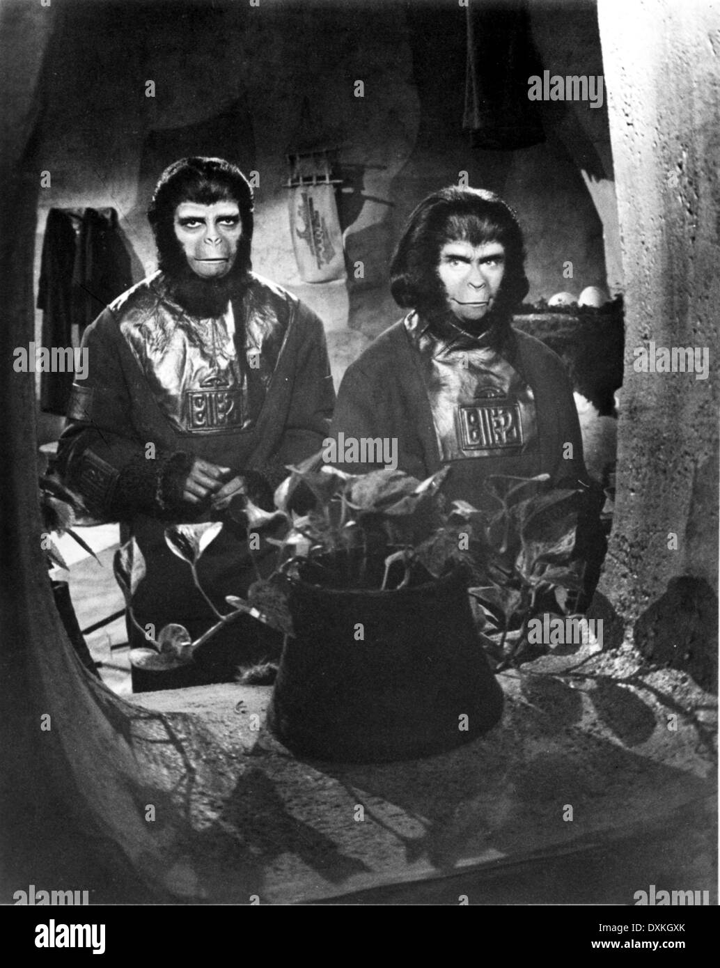 of the apes hires stock photography and images Alamy