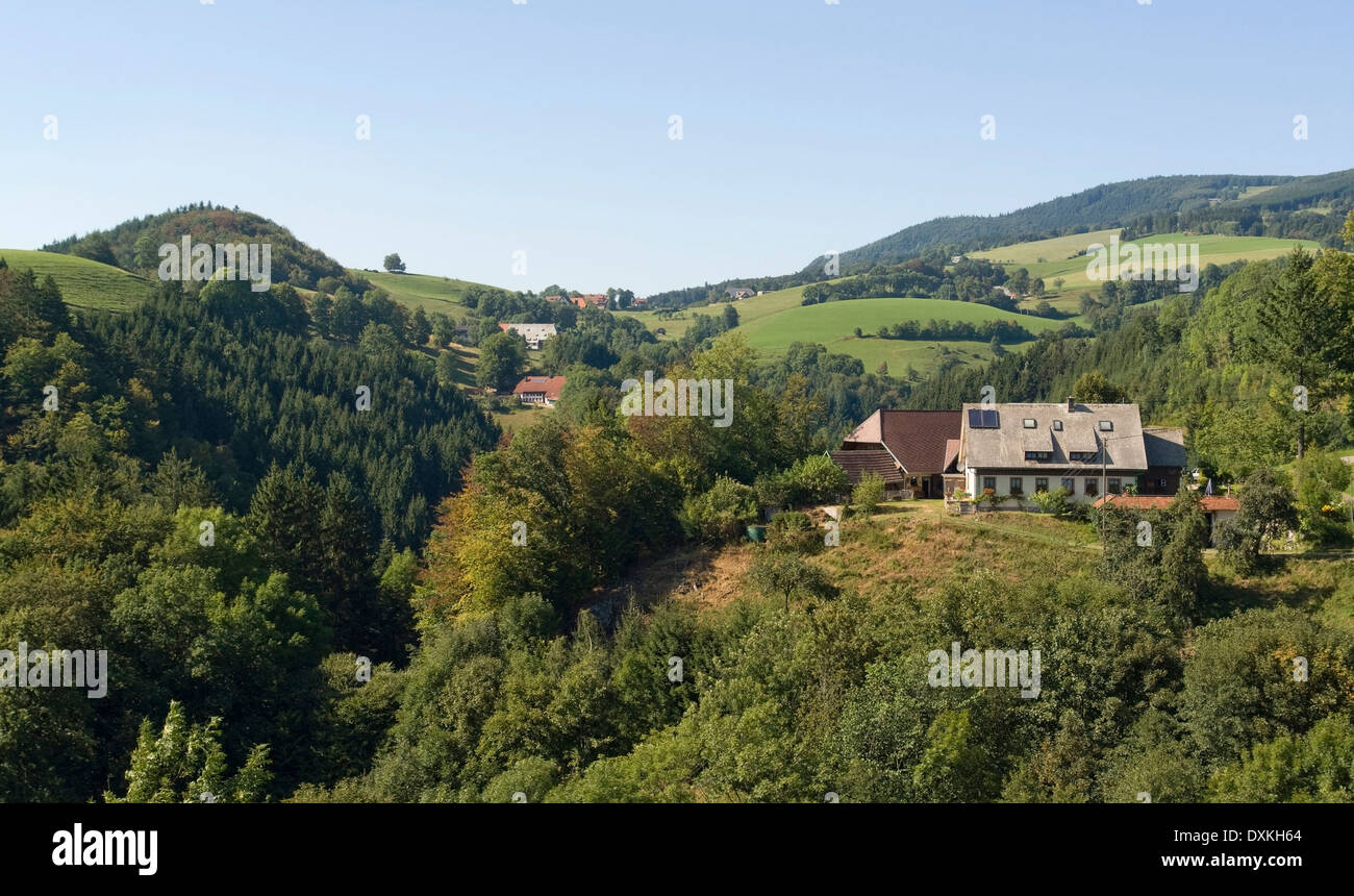 idyllic scenery in the Black Forest in sunny ambiance Stock Photo