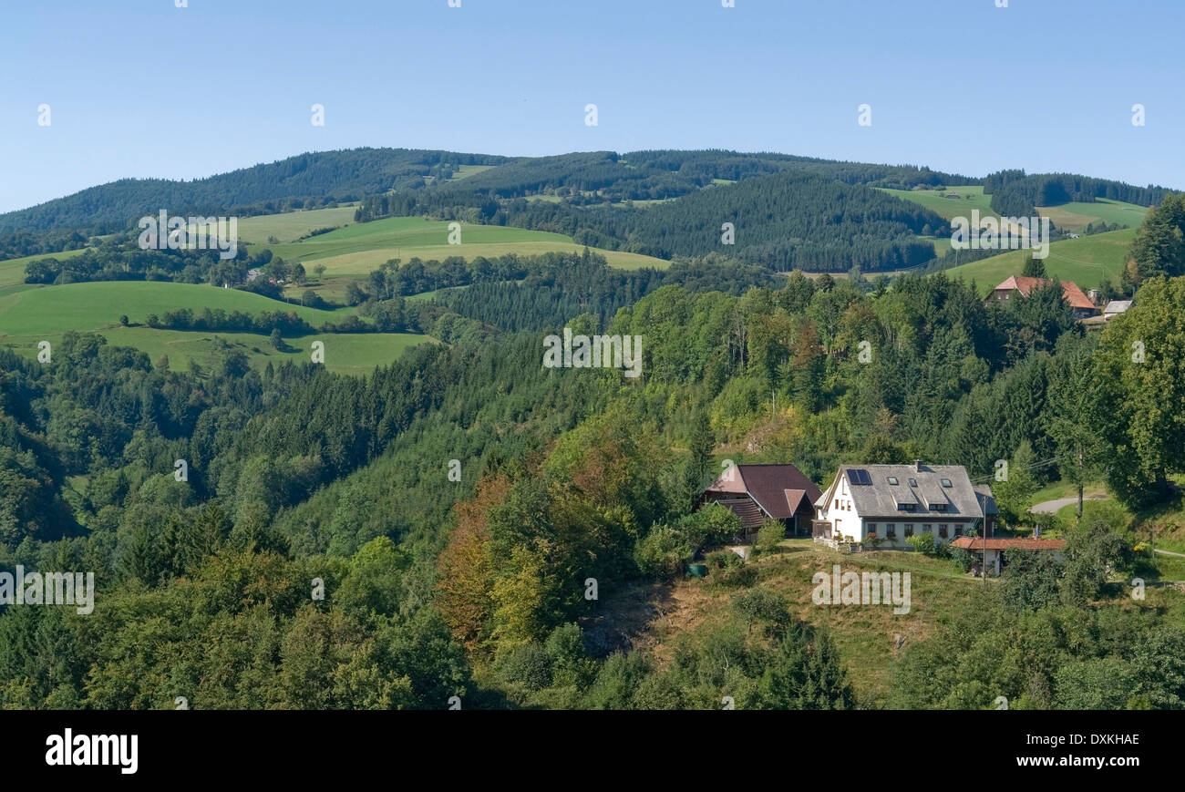 idyllic scenery in the Black Forest at summer time Stock Photo