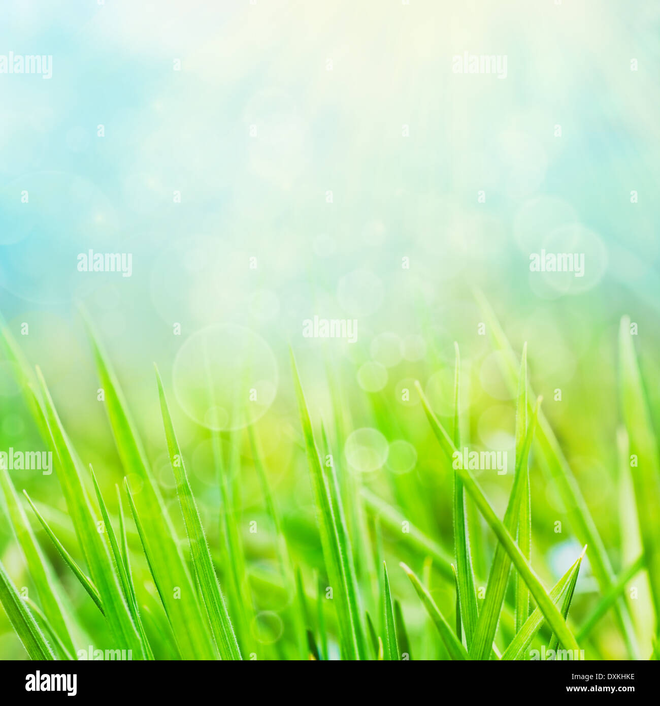 Design background. Spring or summer nature background Stock Photo - Alamy