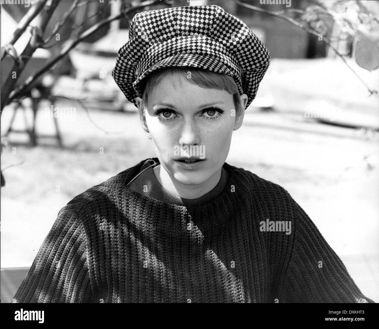 A DANDY IN ASPIC Stock Photo Alamy