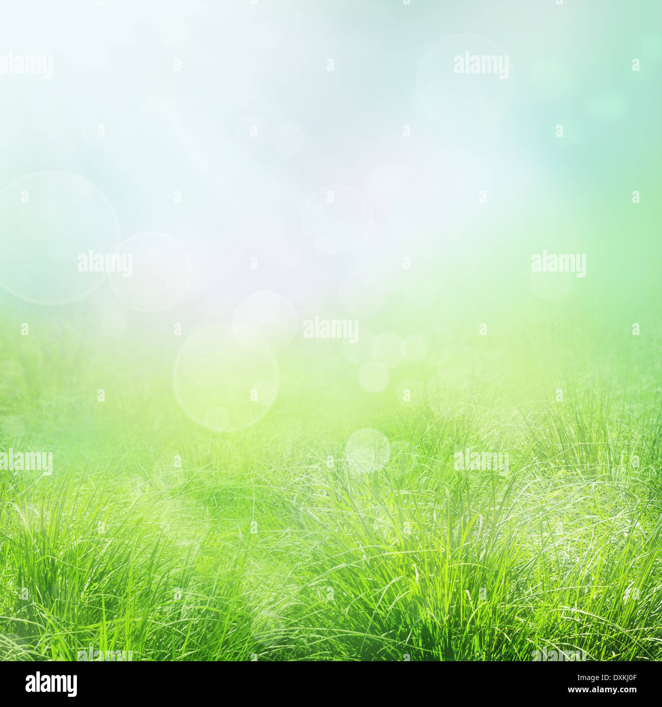 Design background. Spring or summer nature background Stock Photo - Alamy