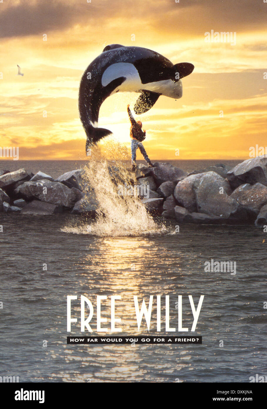 FREE WILLY Stock Photo