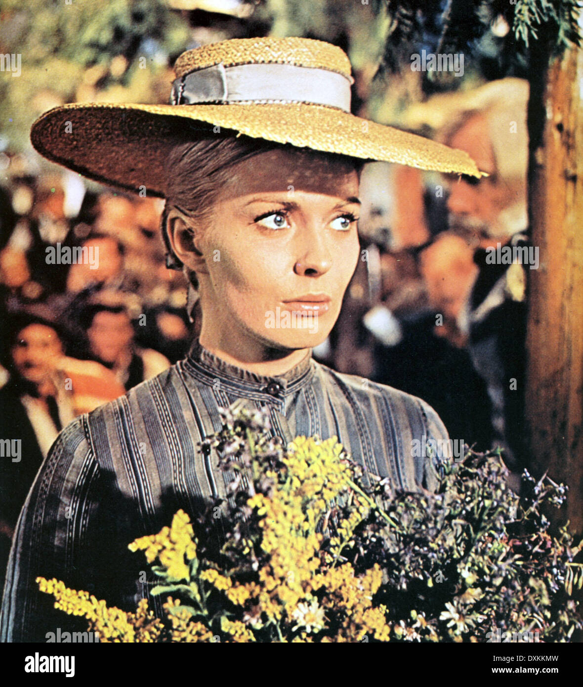 Paint your wagon hires stock photography and images Alamy