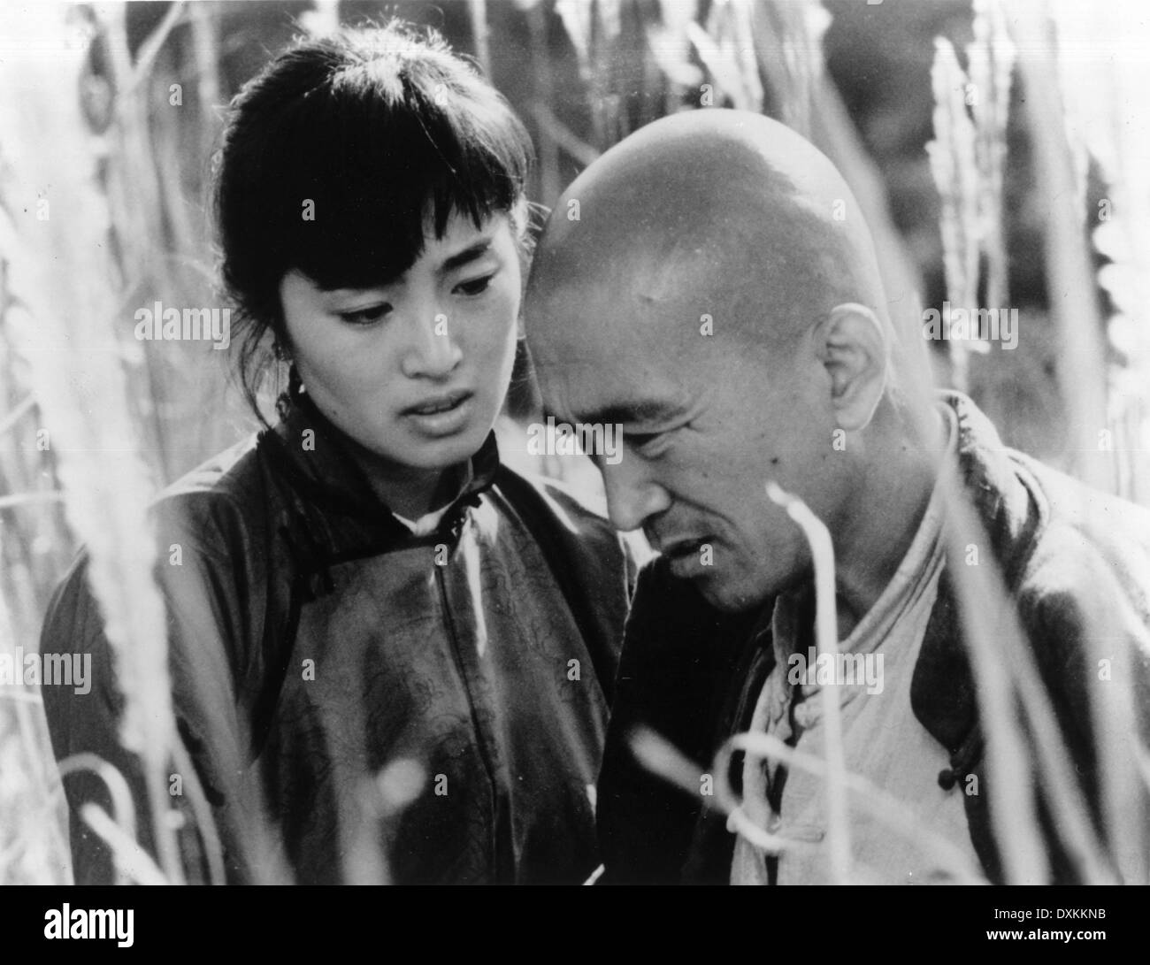 Dou hi-res stock photography and images - Alamy