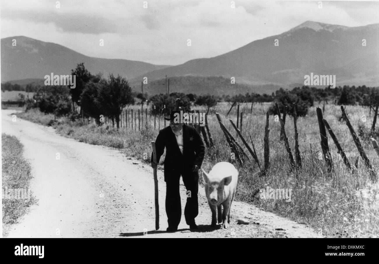 The beanfield hires stock photography and images Alamy
