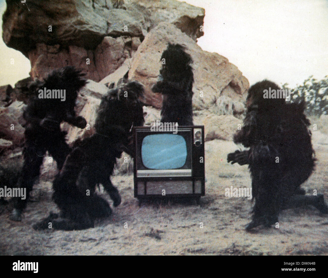 THE GROOVE TUBE Stock Photo Alamy