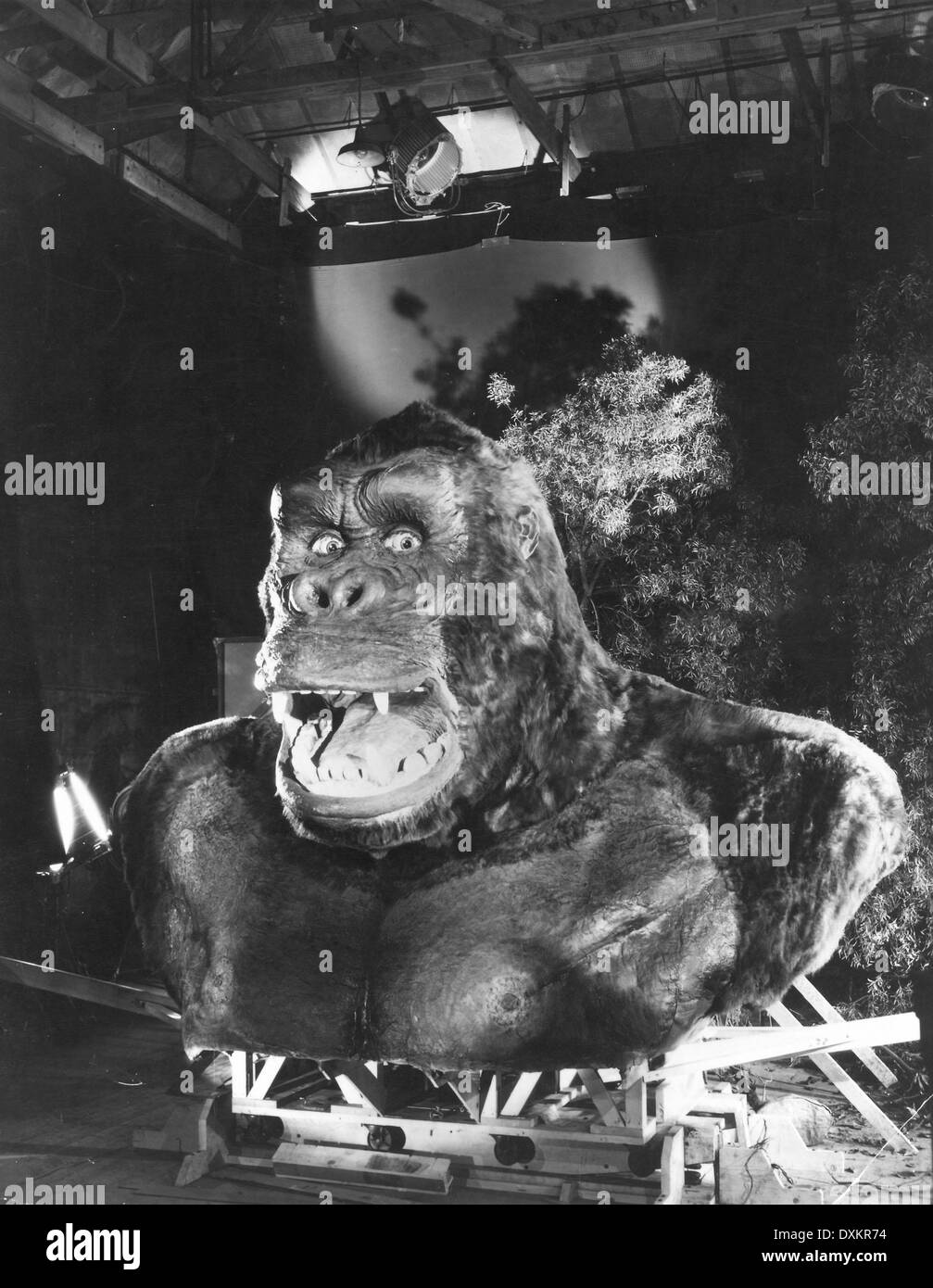 King kong movie Black and White Stock Photos & Images Alamy