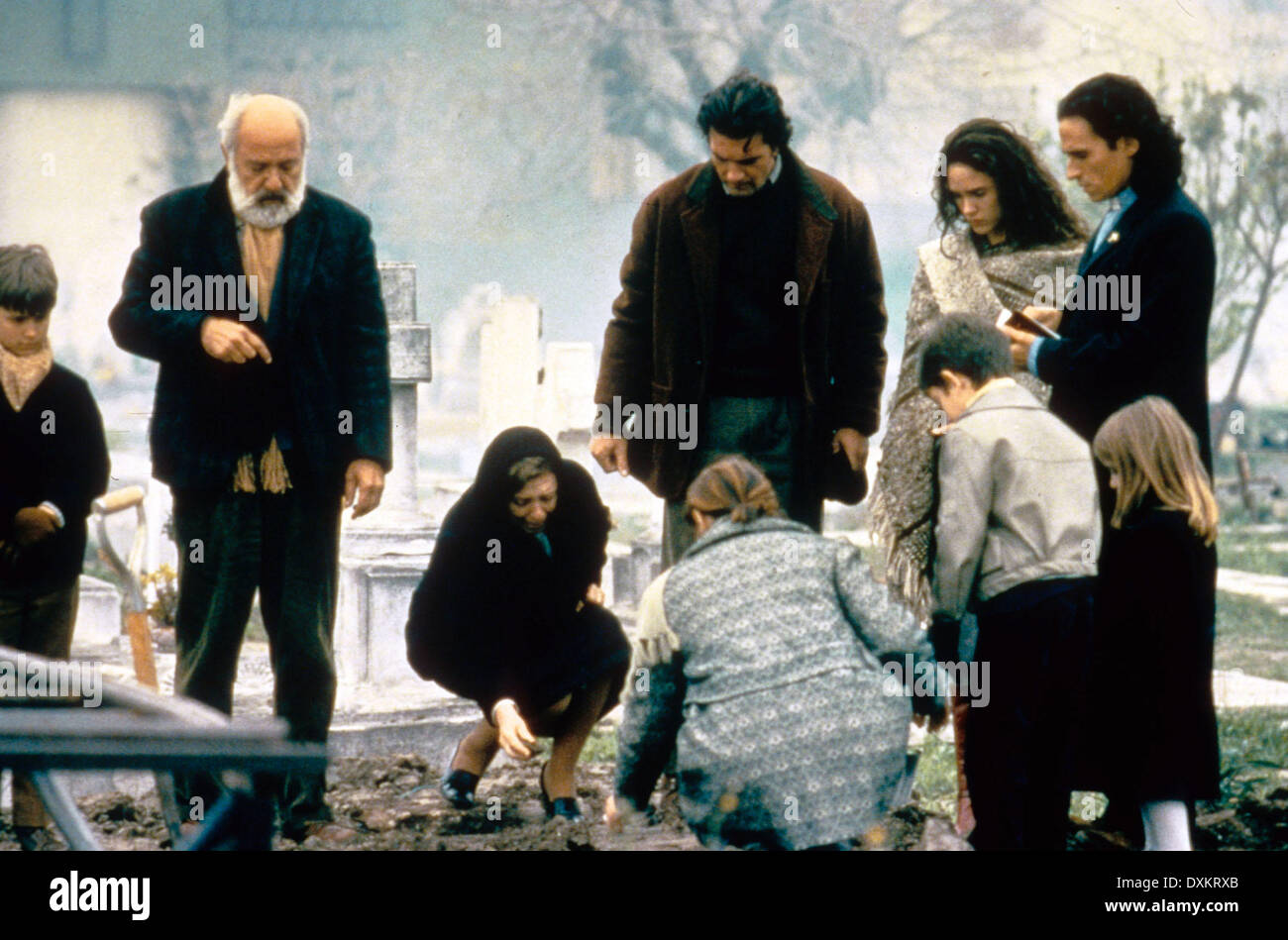 OF LOVE AND SHADOWS Stock Photo Alamy