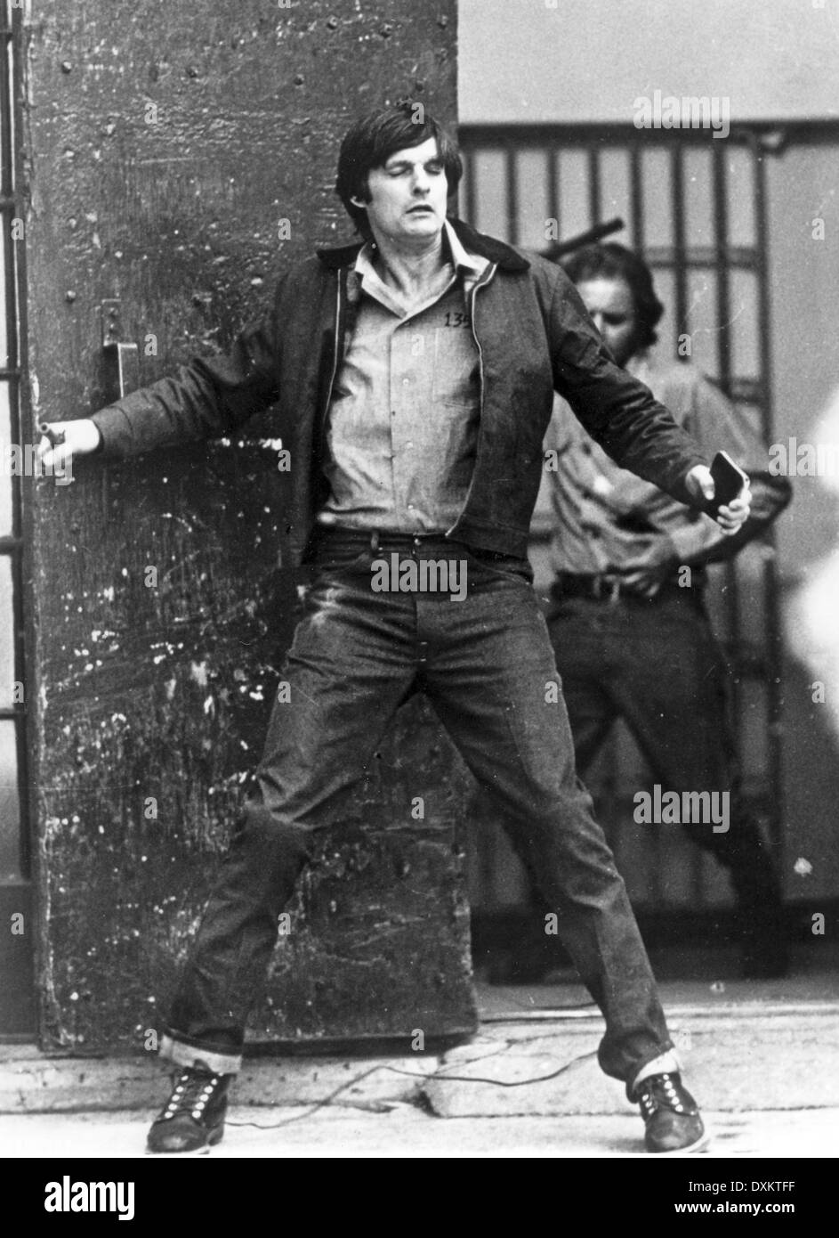 THE GLASS HOUSE Stock Photo Alamy