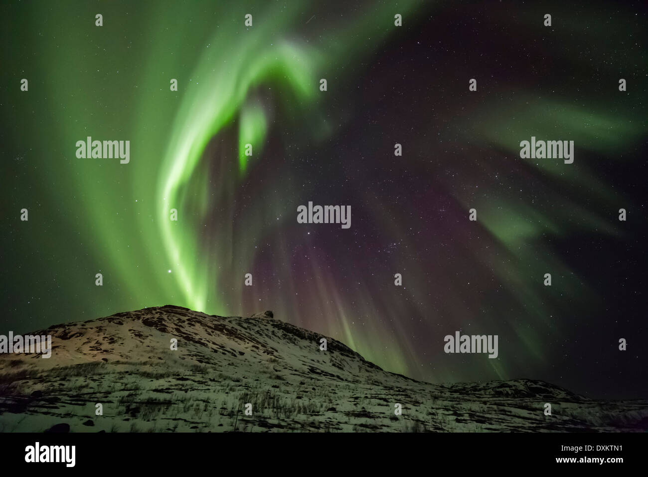 Aurora borealis or northern lights moving across night sky within the Arctic Circle Tromso Troms Kvaløya region norway Stock Photo