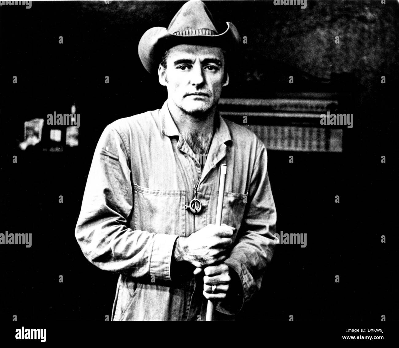 DER AMERIKANISCHE FREUND Stock Photo