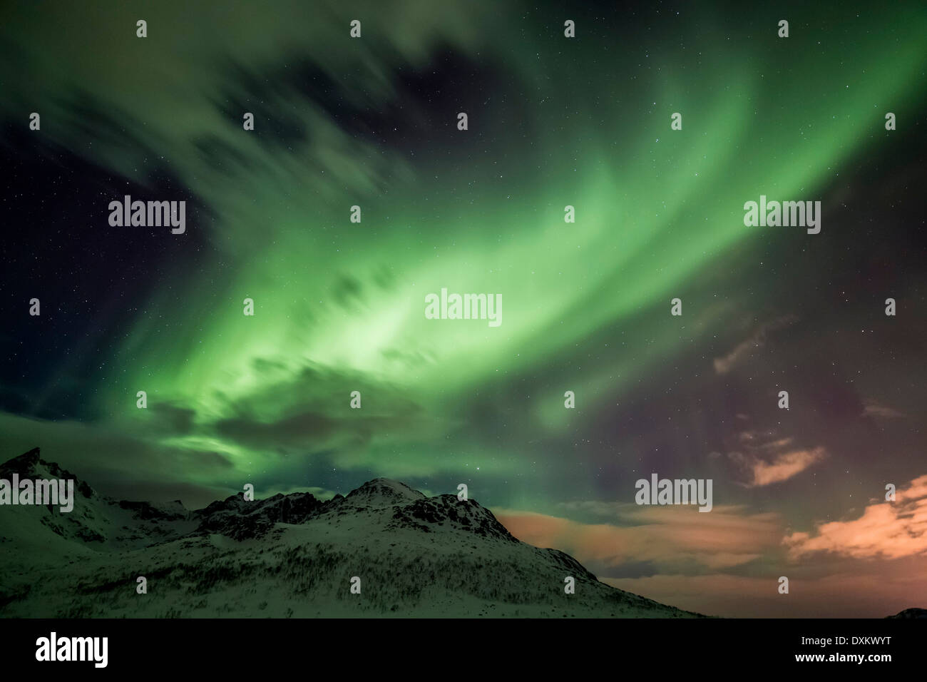 Aurora borealis or northern lights moving across night sky within the Arctic Circle Tromso Troms Kvaløya region norway Stock Photo