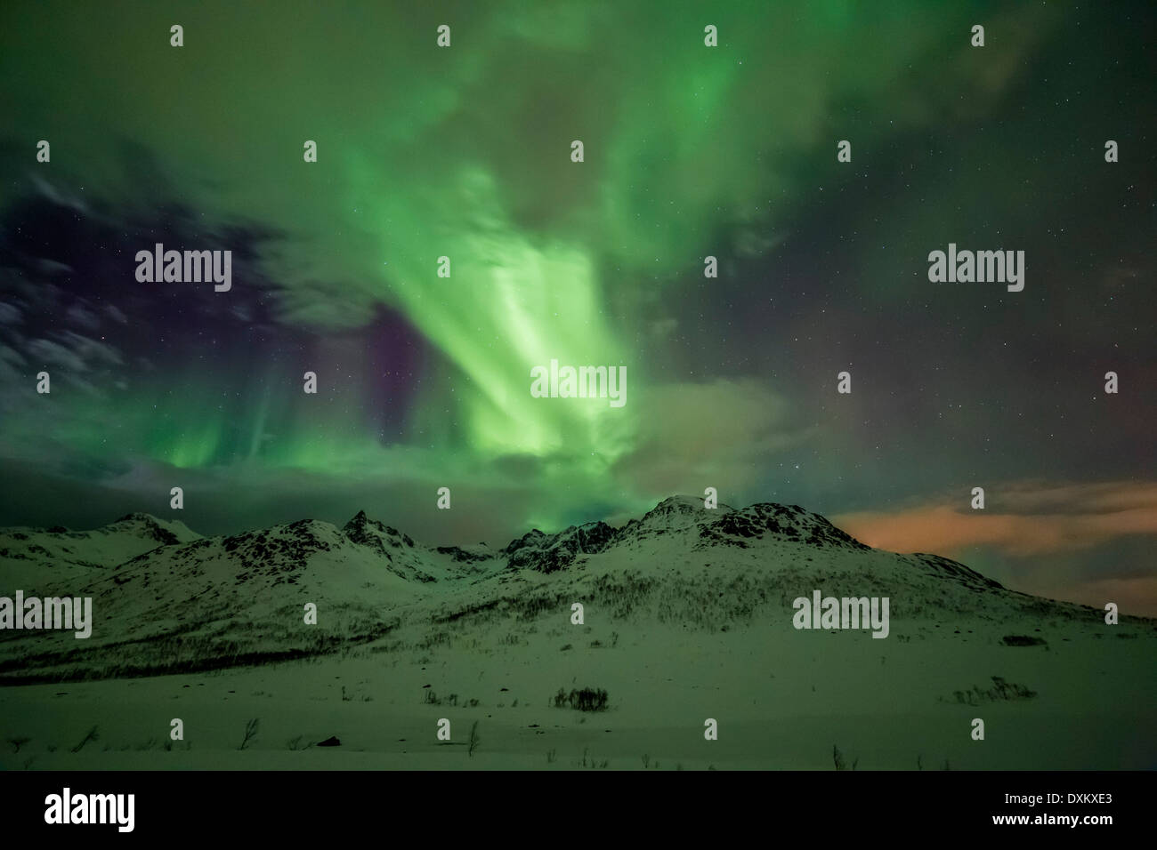 Aurora borealis or northern lights moving across night sky within the