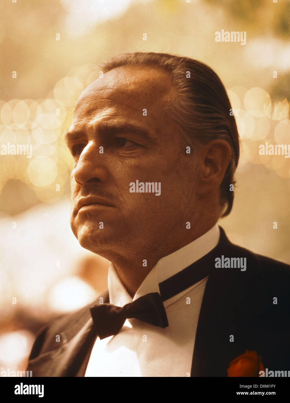 THE GODFATHER Stock Photo - Alamy