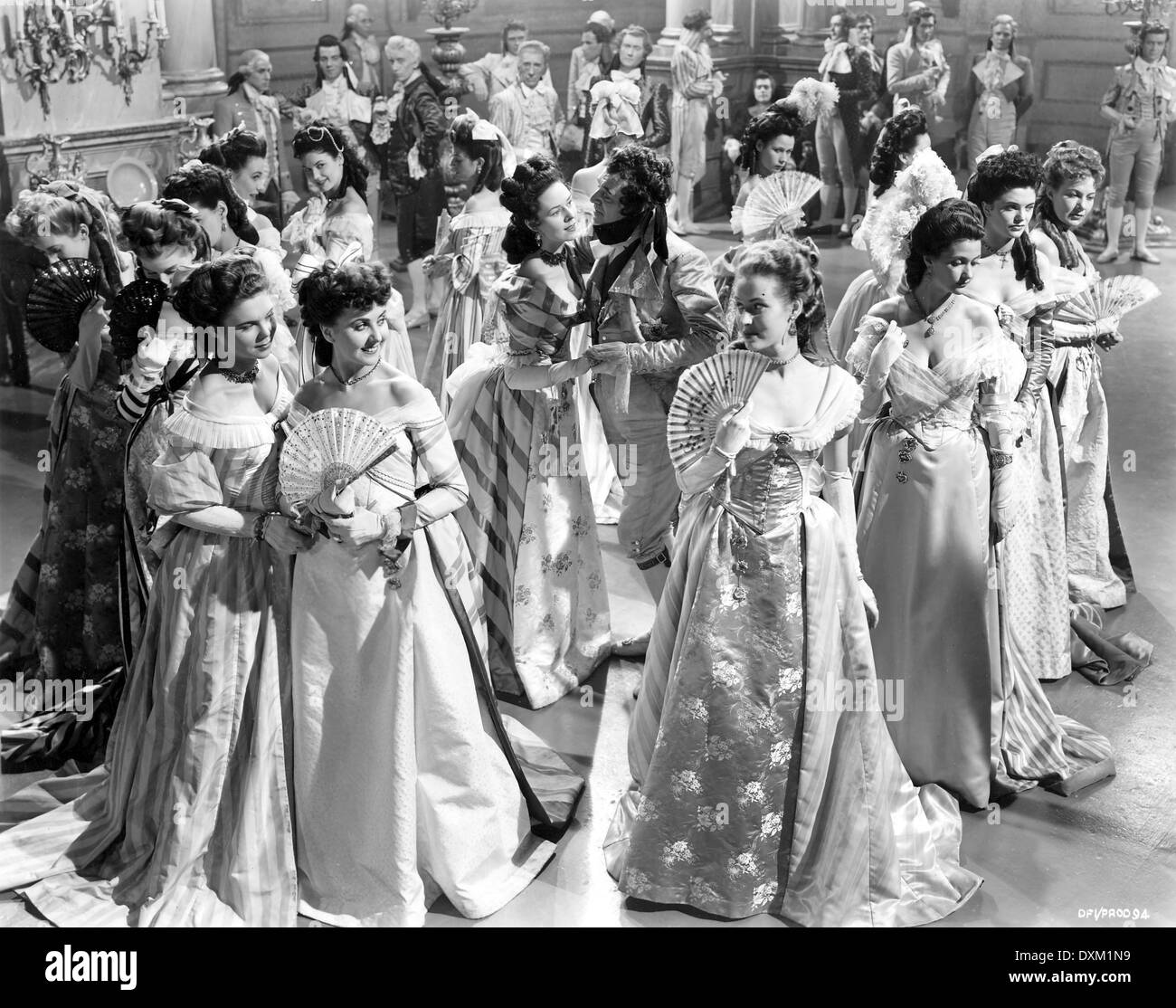 THE ELUSIVE PIMPERNEL Stock Photo Alamy