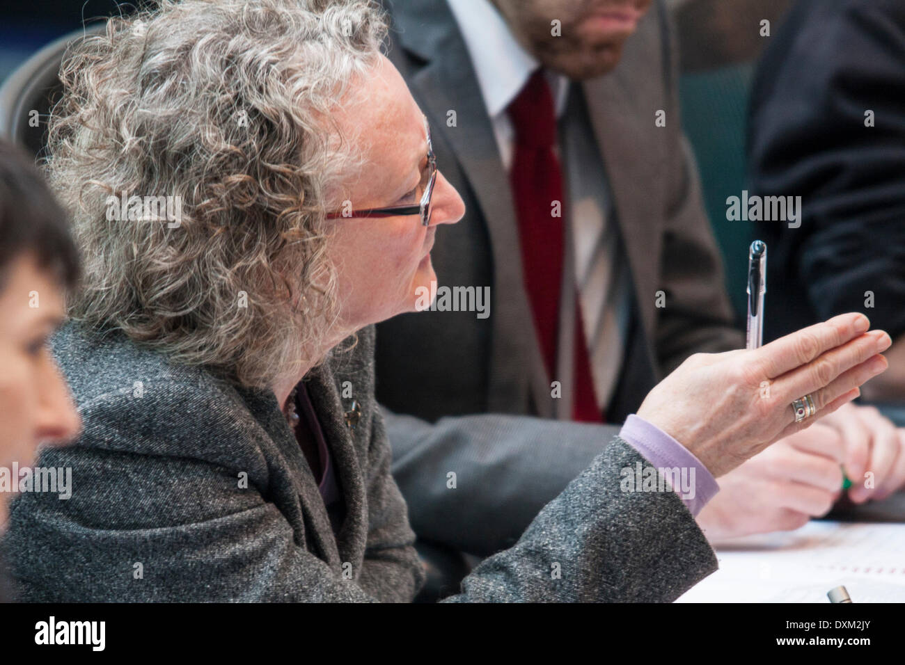 London, March 27th 2014. The Green Party's Jenny Jones, a member of the Police and Crime Committee of the London Assembly questions the Mayor of London on undercover policing and the governance of the Metropolitan Police. Credit:  Paul Davey/Alamy Live News Stock Photo